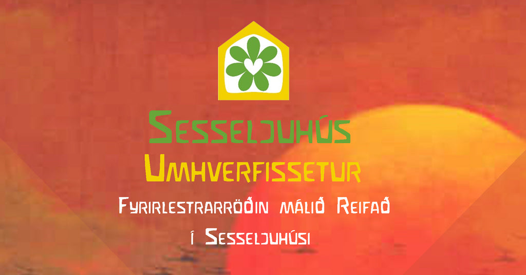 Málið Reifað - Nino Panaiashvili heldur fyrirlestur